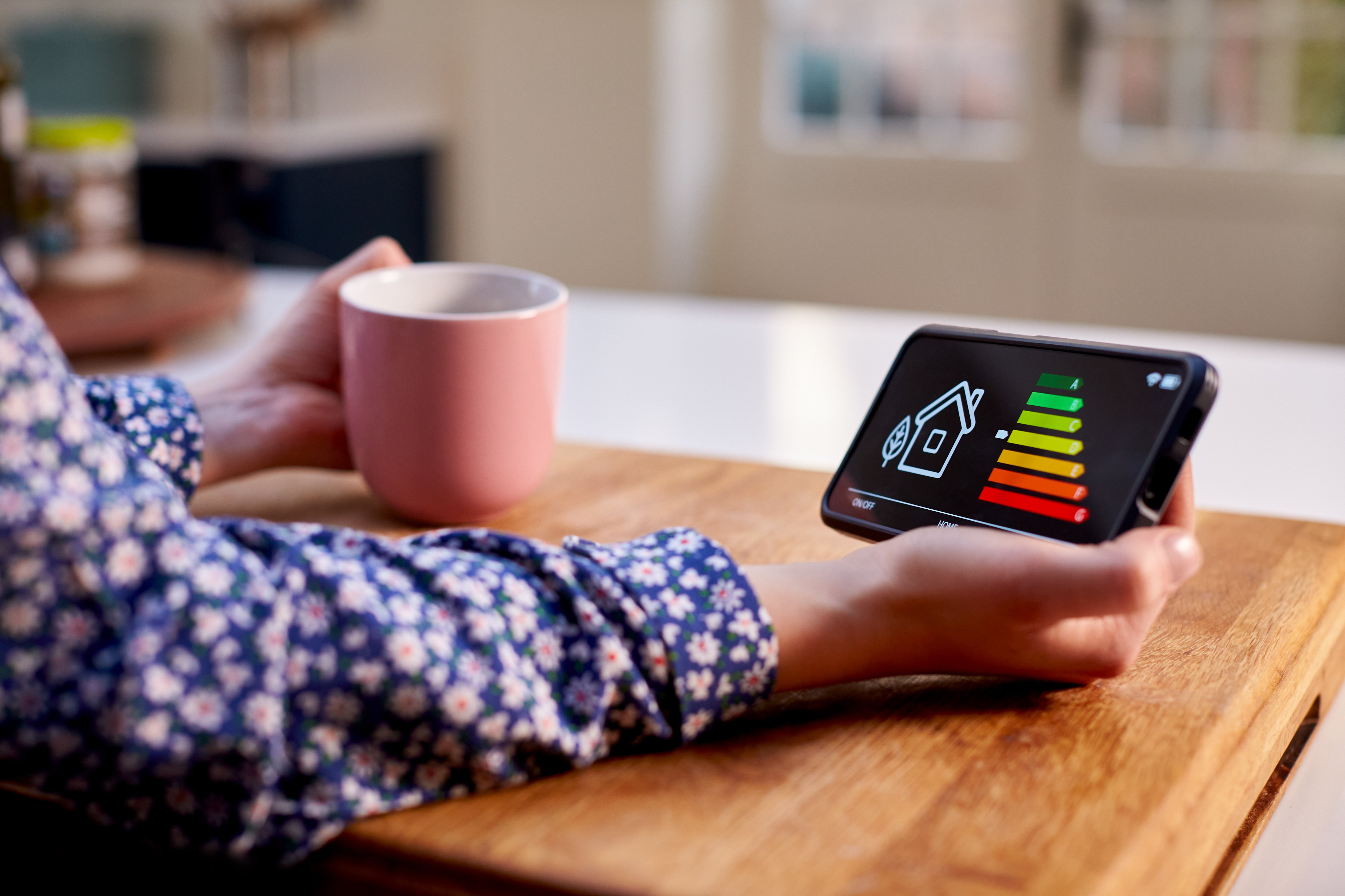 close-up-of-woman-holding-smart-energy-meter-in-ki-2024-10-21-12-01-25-utc
