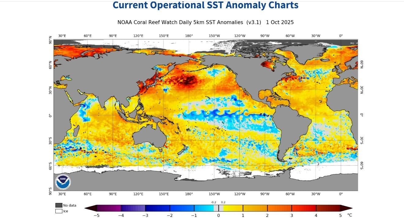 Global sea surface temperature anomaly map from NOAA showing warmer-than-average waters across the North Pacific and North Atlantic and cooler anomalies along the equatorial Pacific, indicating early La Niña conditions as of October 1, 2025.